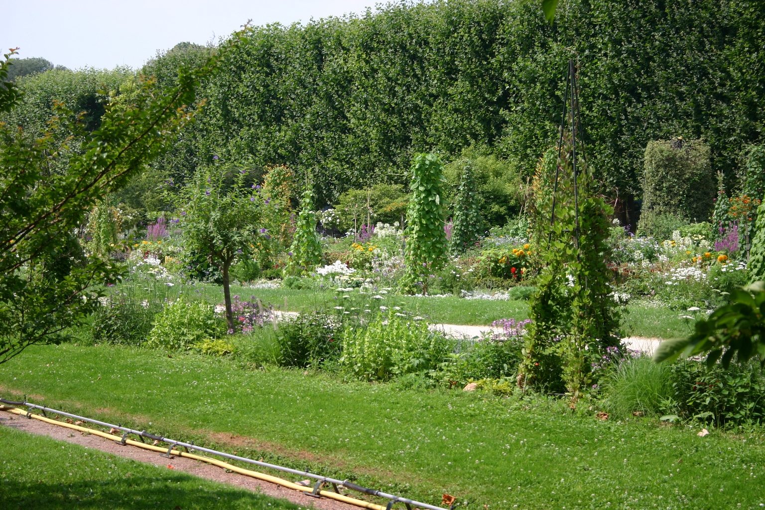 Jardin%20des%20Plants%2C%20Paris%20-%2003.JPG